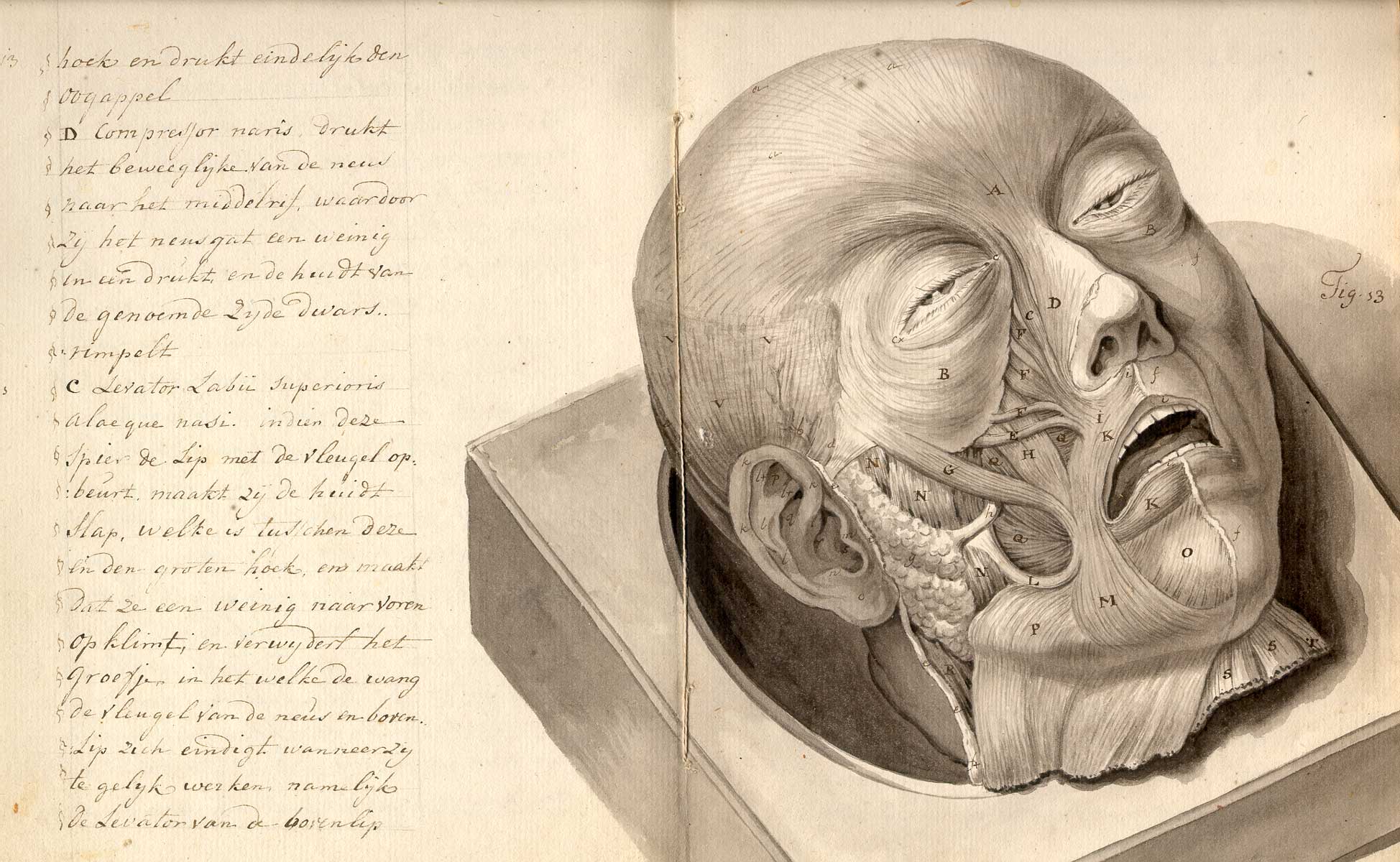 Atlas of Human Anatomy and Surgery (1831-1854)