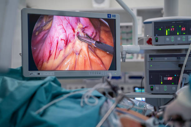 Иллюстрация к материалу: Гормональный канцерогенез: механизмы и клиническое значение